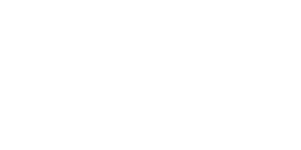 골든 넷 logo