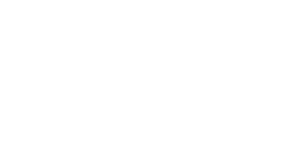 스피드 송금 logo